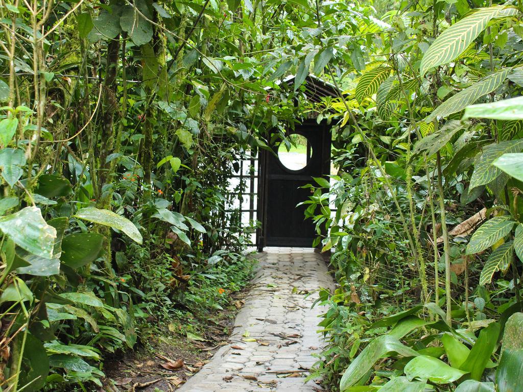 El Septimo Paraiso ميندو المظهر الخارجي الصورة